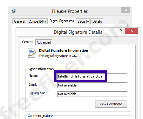 Screenshot of the Intelliclick Informatica Ltda certificate